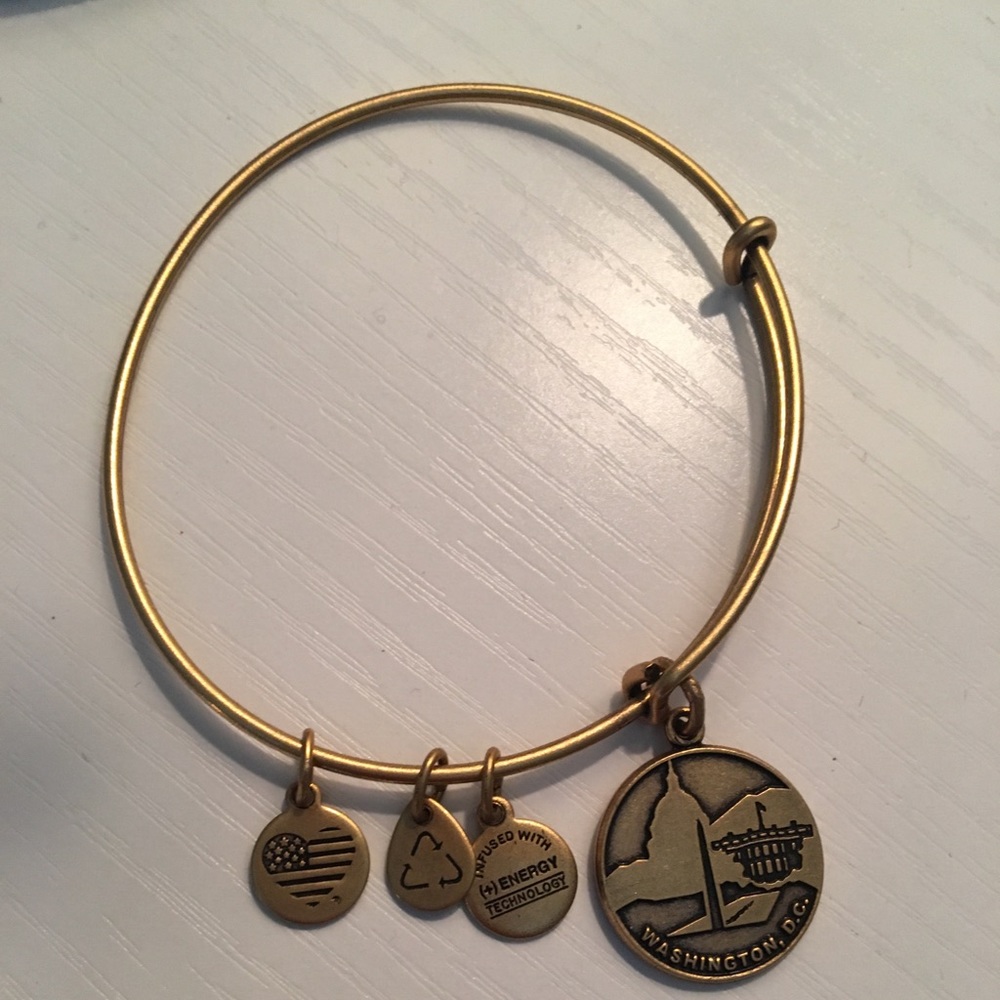 Alex and Ani Washington DC Charm Bangle